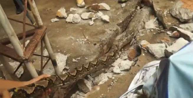 Ini Videonya