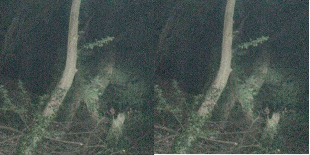 Tak Sengaja Terekam Kamera, Wanita Ini Diikuti Hantu Bocah