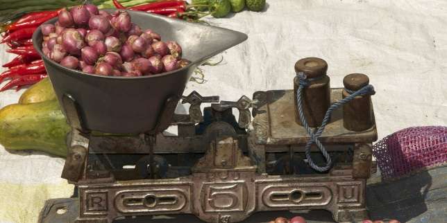 Cara Mudah Cek Timbangan Akurat atau Tidak