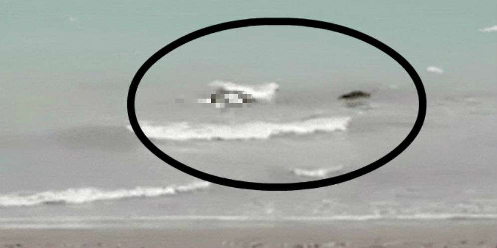 Geger, Seekor Buaya Antarkan Jasad Pria ke Tepi Pantai