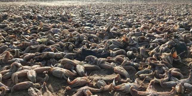 Bagaikan Kiamat di Laut