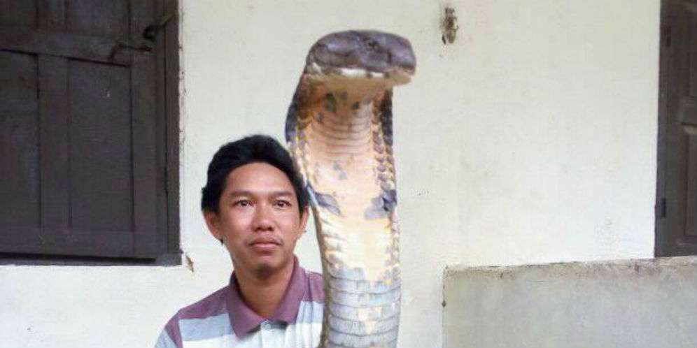 Bukan Peliharaan, Seharusnya Dilepas