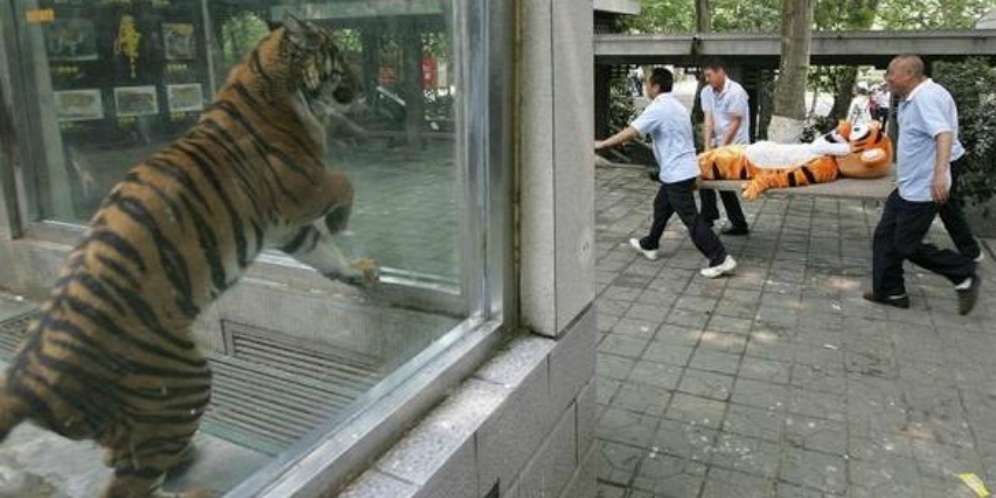 Yuk Intip Foto-fotonya Berikut...