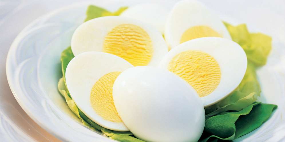 Kompleksnya Sebutir Telur