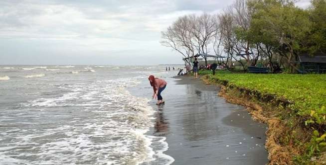 Indahnya Migrasi Burung di Pantai Bekasi