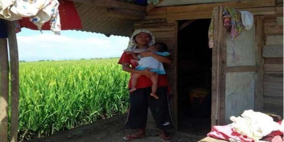 Balita di Serang Telan Ular Hidup, Kaget Lihat Muntahnya...