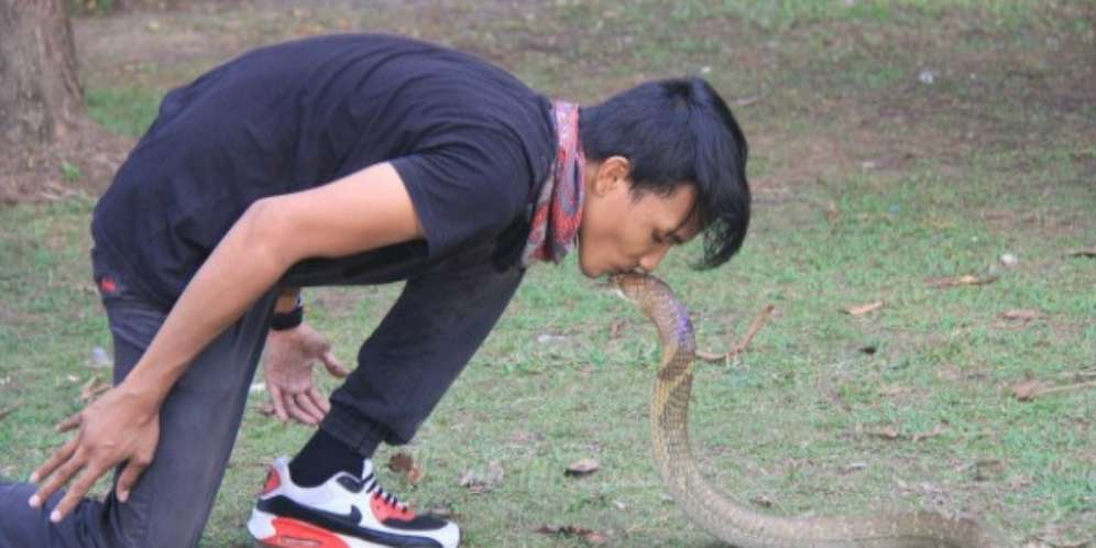 Digigit Kobra, Tubuh Pawang Ular Kalimantan Alami Keajaiban