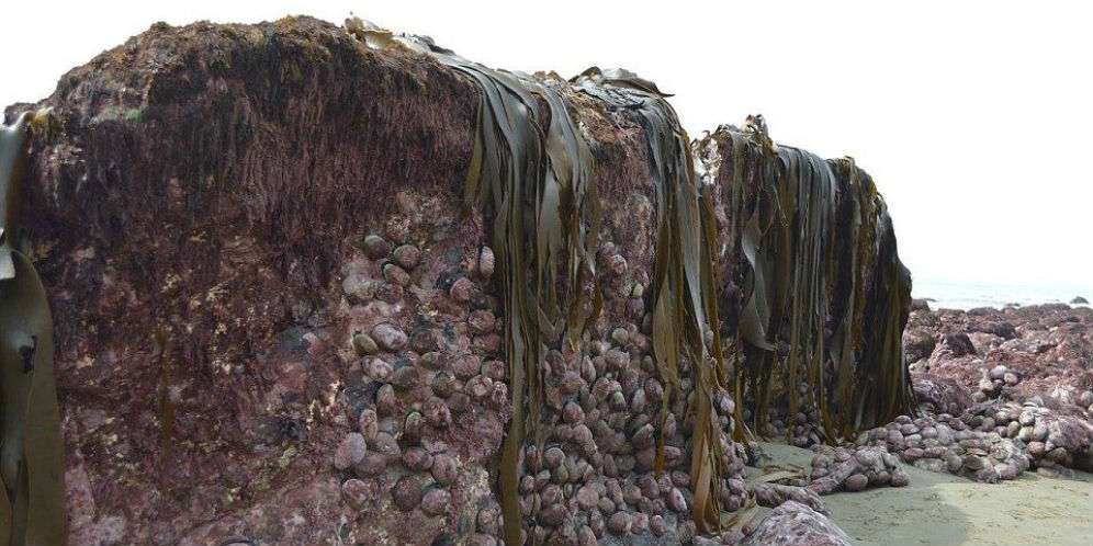 Geger Fenomena Alam Aneh Muncul Setelah Gempa