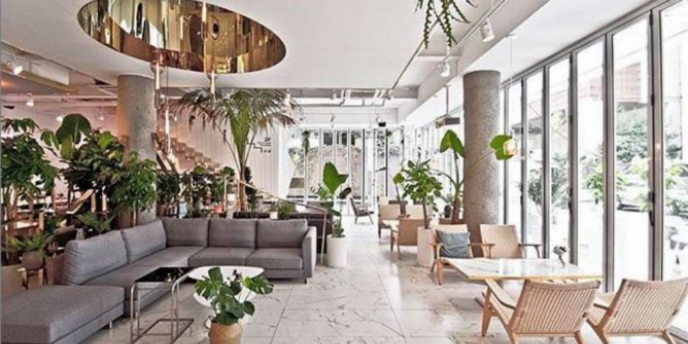 Tryst Cafe