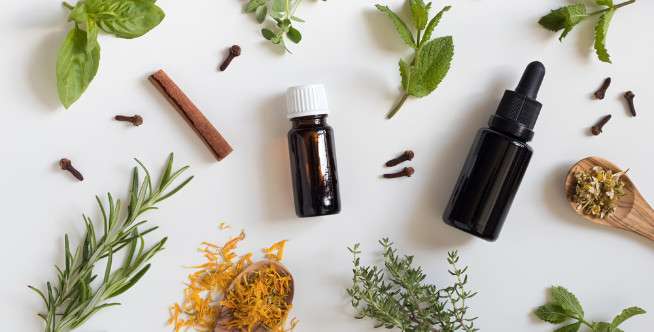 Daun Basil dan Kayu Manis