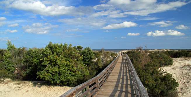 Cumberland Island