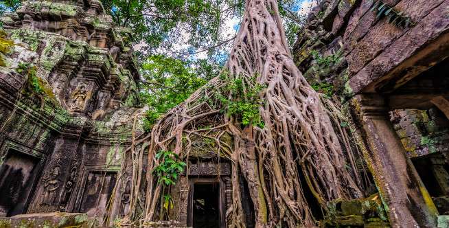 Ta Prohm Temple, Siem Reap, Kamboja
