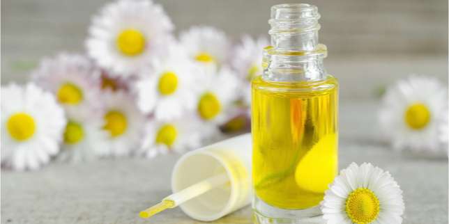 Manfaat Essential Oil bagi Kesehatan: Chamomile Oil