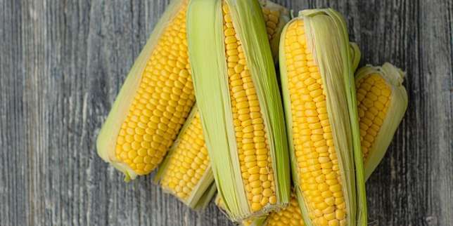 Manfaat Jagung: Mengatasi Diabetes