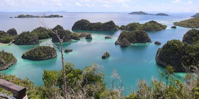 Pulau Salawati