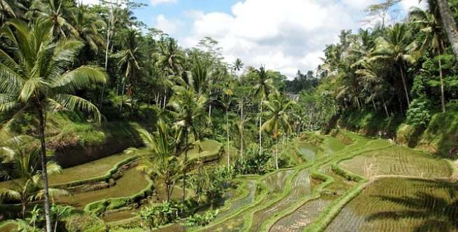 Ubud, Bali, Indonesia