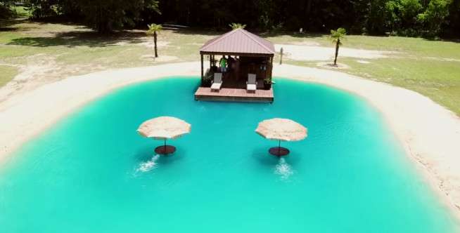 Kolam Renang Tropis di Belakang Rumah