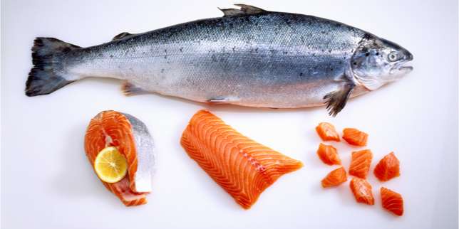 Makanan bagi Ibu Menyusui: Ikan Salmon