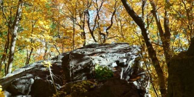 Taman Nasional Big Bend