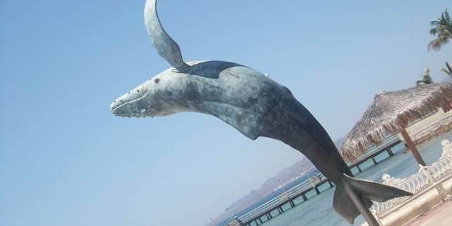 La Paz, Meksiko