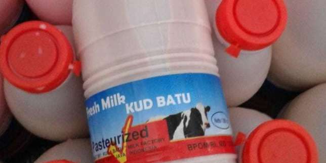 Rumah Susu KUD Ganesha