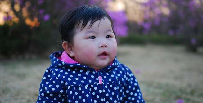 Fungsi Gigi Bayi