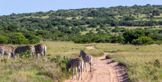 Laikipia, Kenya
