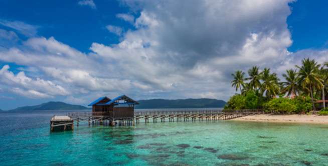 Pulau Salawati