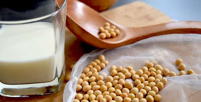 Kadar gizi susu soya