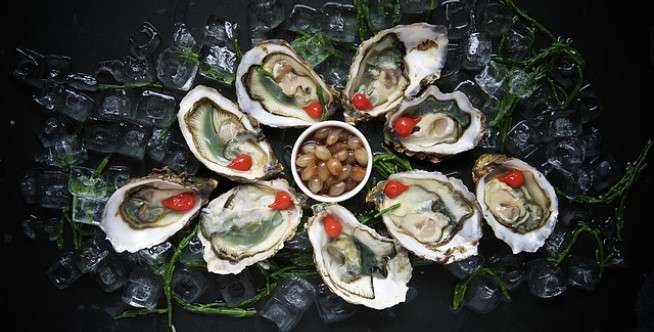 Menu Makanan dari Kerang Mentah
