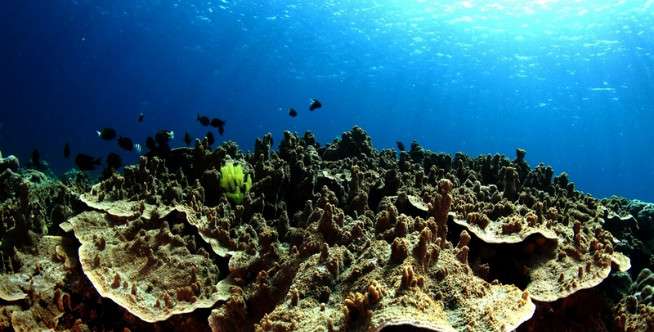 Pulau Kapoposang