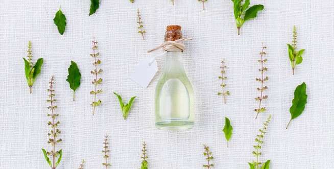 Cara Agar Cepat Hamil dengan Minyak Alami dari Tanaman Herbal