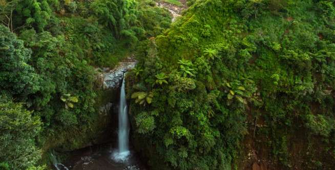 Air Terjun Kedung Kayang