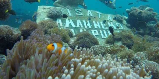 Pulau Pahawang