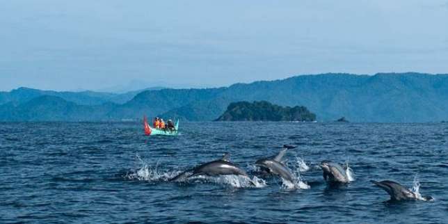 Pulau Kiluan