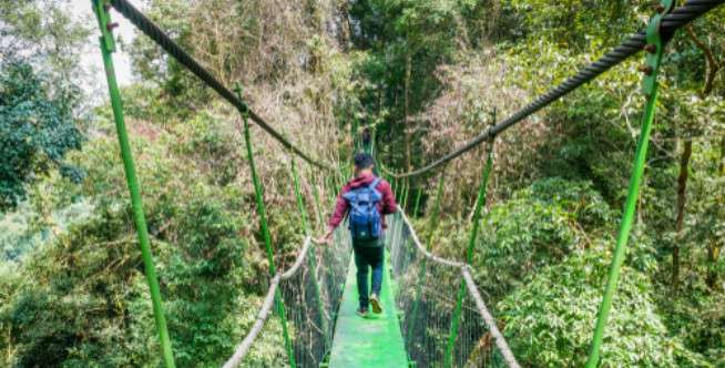 Destinasi Wisata Bukit Lawang