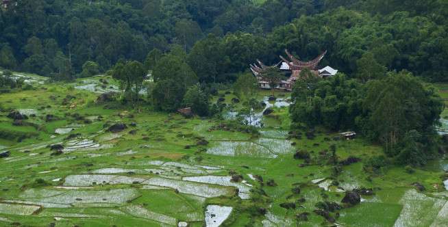 Destinasi Wisata Tana Toraja