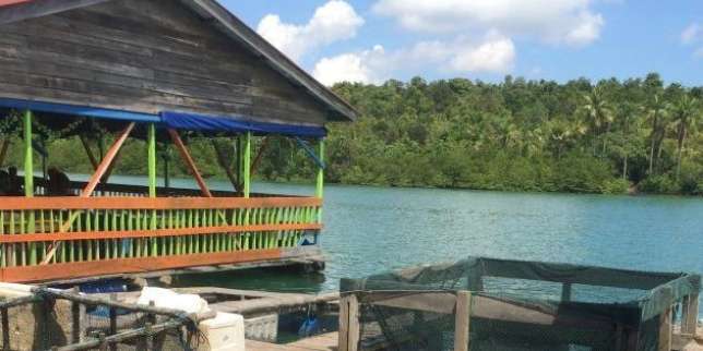 Playu Laut