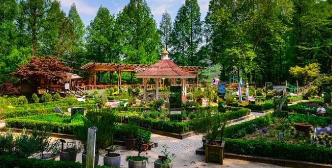 Daegu, Korea Selatan