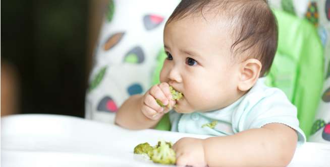 4 Camilan 'Finger Food' Kaya Gizi untuk Bayi