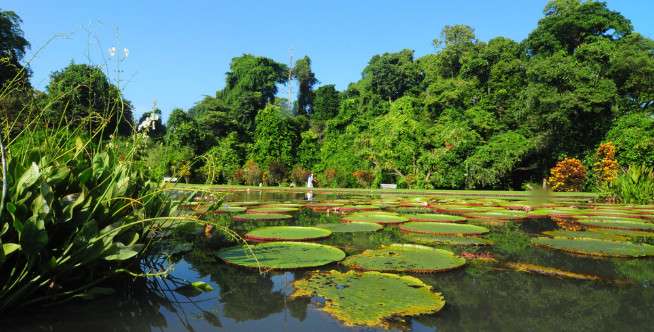 Kebun Raya Bogor