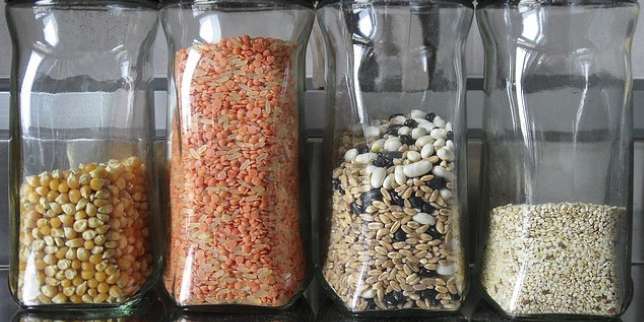 Kacang-Kacangan