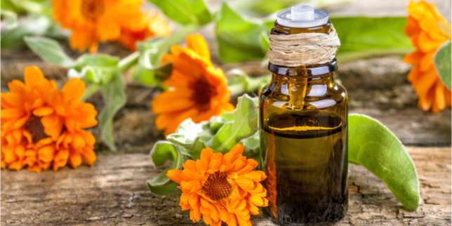 Minyak Calendula
