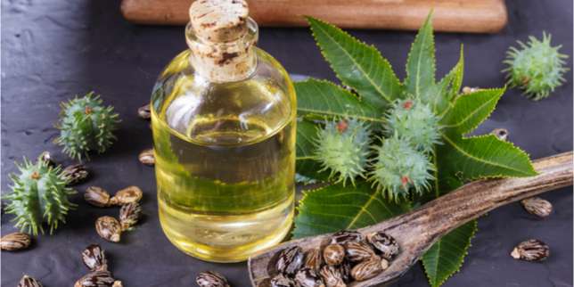 Minyak Jarak (Castor Oil)