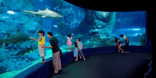 Sea Life Bangkok Ocean World