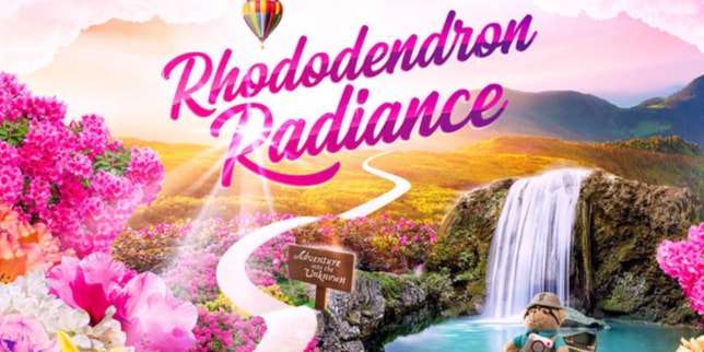 Rhododendron Radiance 2019
