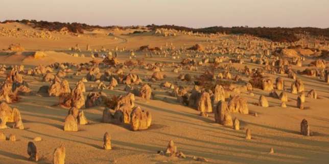 The Pinnacles, Nambung National Park