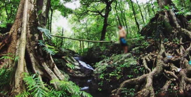 Gunung