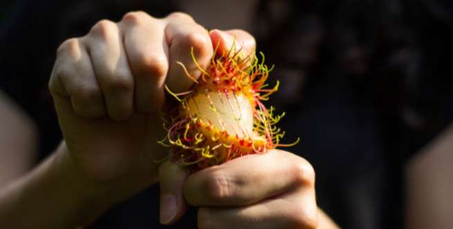 Fakta Rambutan untuk Kehamilan