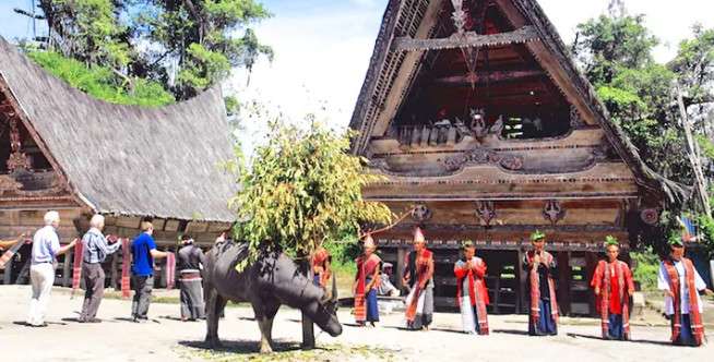 Wisata Budaya, Belajar Tari Tor Tor
